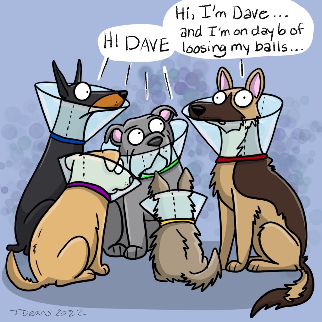 Funny pet portrait cartoon